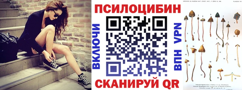 купить наркотик  Салават  kraken как войти  Галлюциногенные грибы мухоморы 