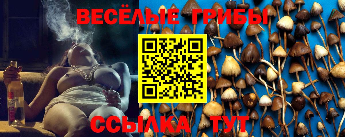Псилоцибиновые грибы Psilocybe  Галлюциногенные грибы Psilocybe  Вход с VPN  Салават 